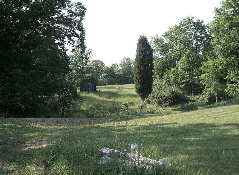 Grass Field with Trees — Green