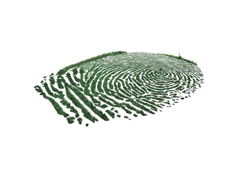 Grass fingerprint design