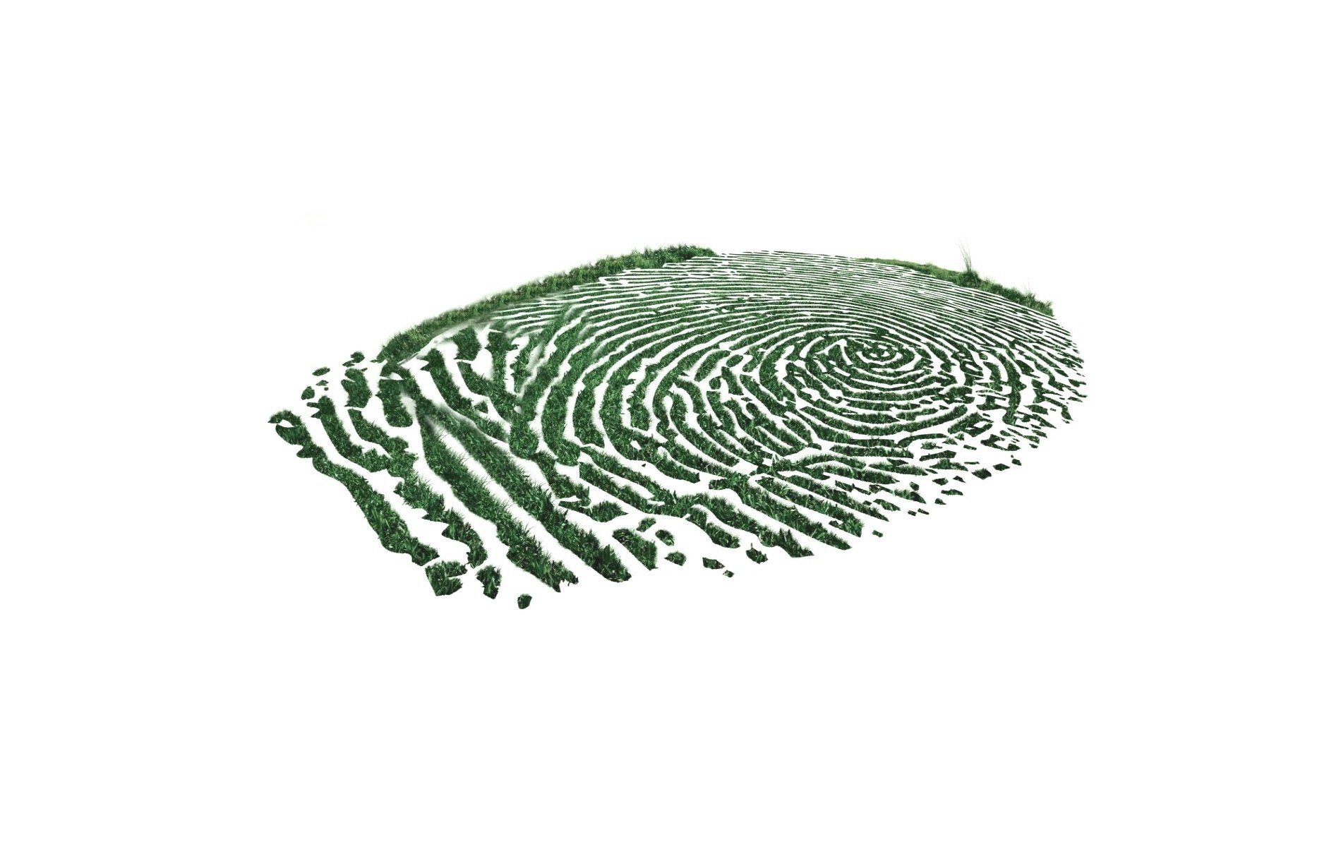 grass fingerprint design