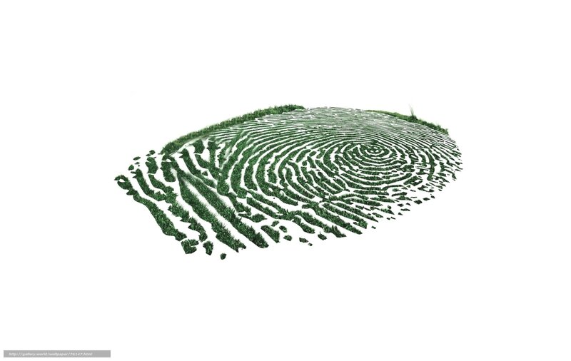 Grass fingerprint design