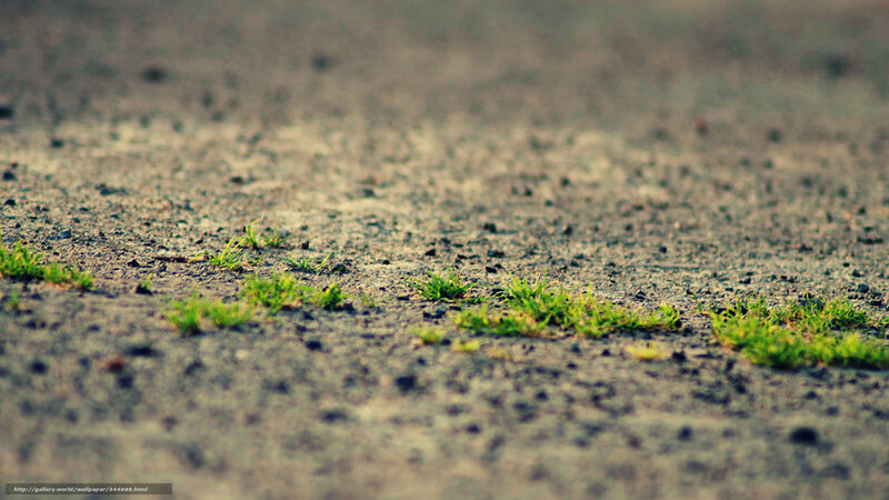 grass growing through pavement