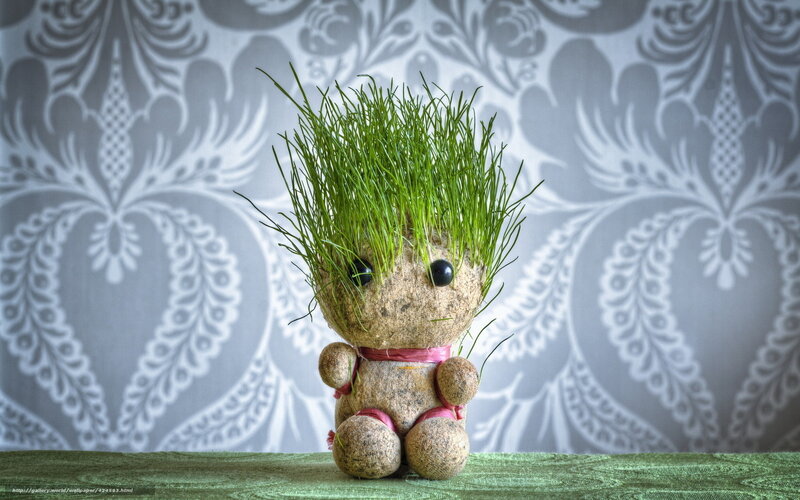 Grass-haired plant doll