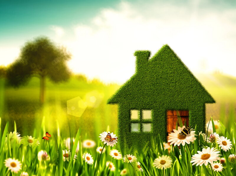 Grass House in Field