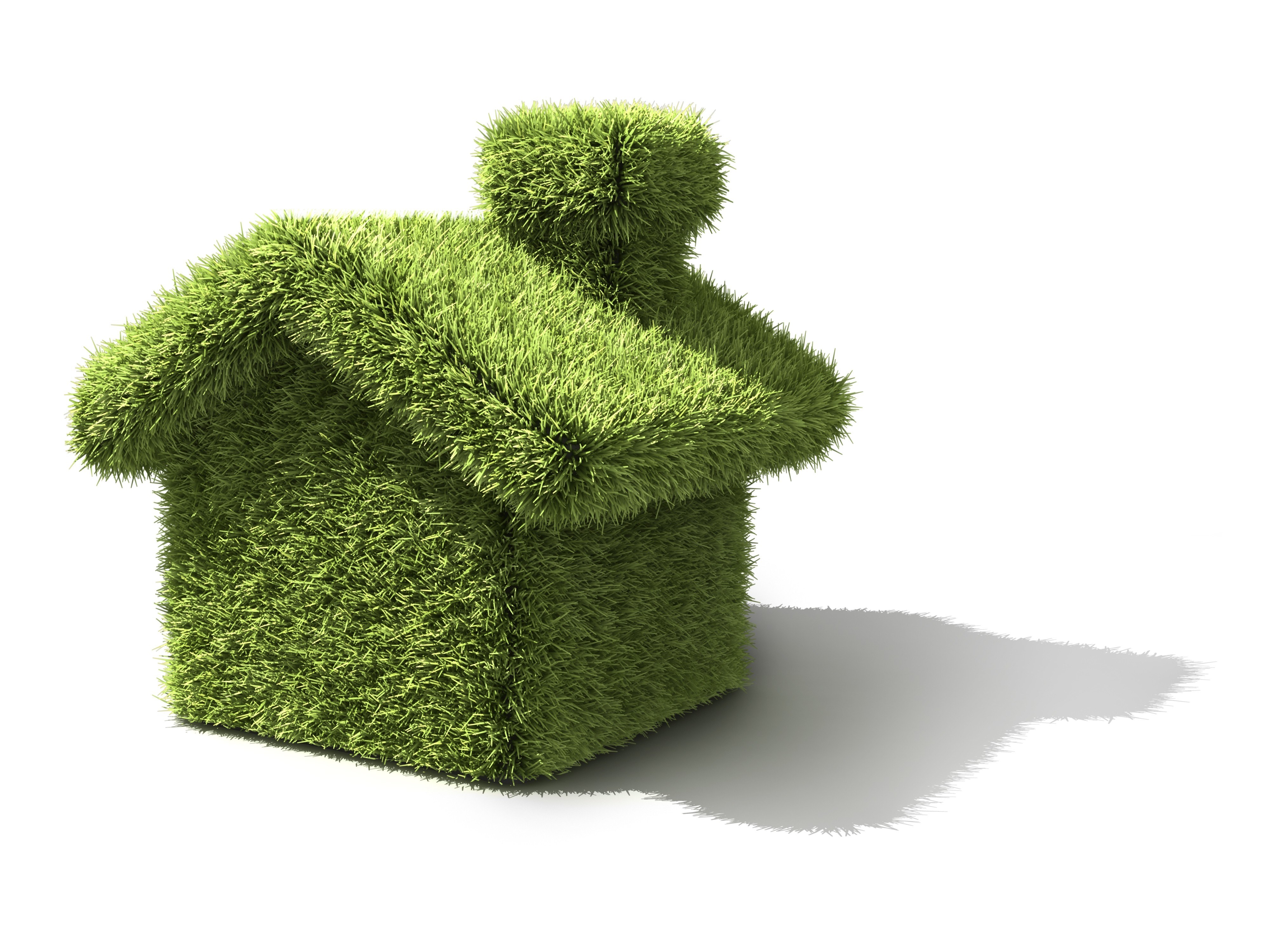 grass house model