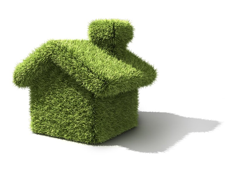 Grass House Model — Green, Neutral