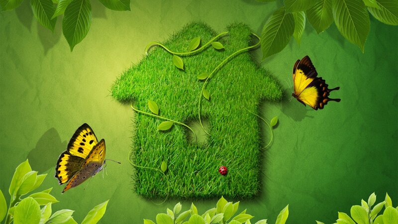 Grass House Shape — Green, Serene, Digital Art, Butterflies, Ladybug, Leaves, Yellow
