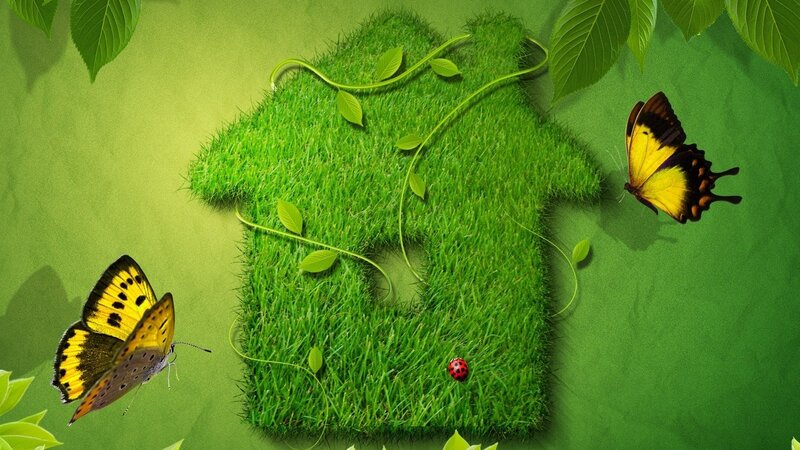 Grass House Shape