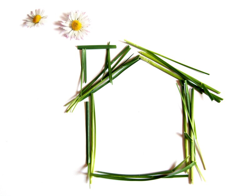 grass house with daisies