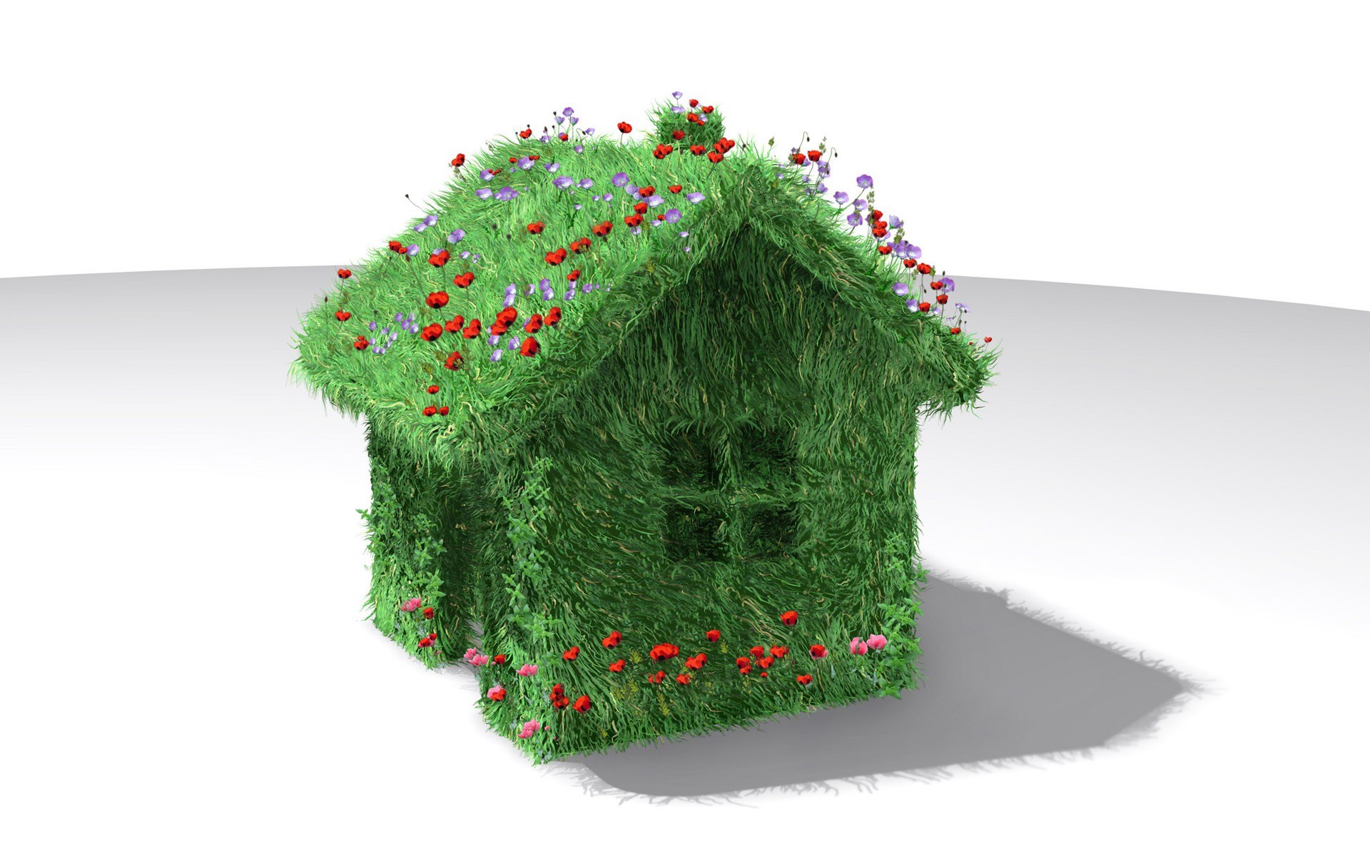 grass house with flowers