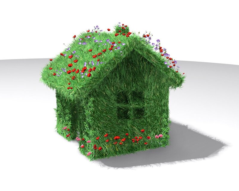 grass house with flowers