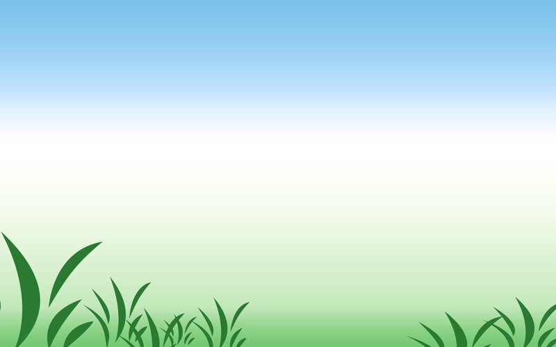 Grass in a Field — Green, Serene, Morning