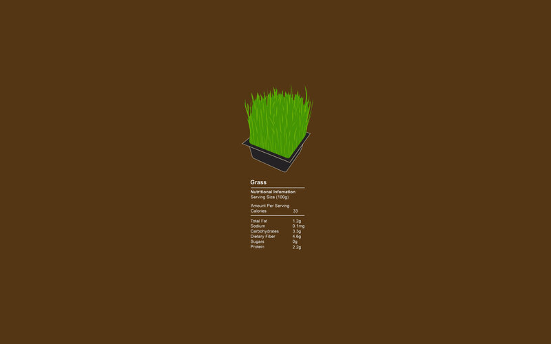Grass in a Pot