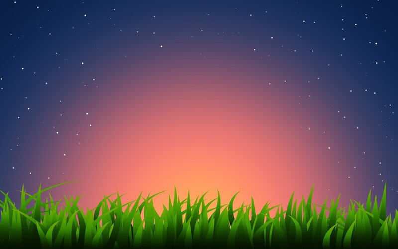 Grass in Front of Night Sky