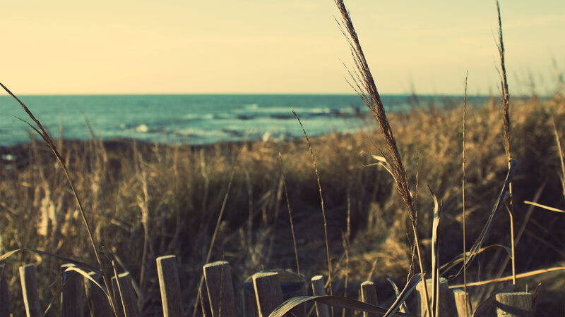 Grass in front of the ocean