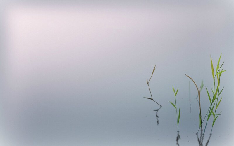 Grass in Water — Green