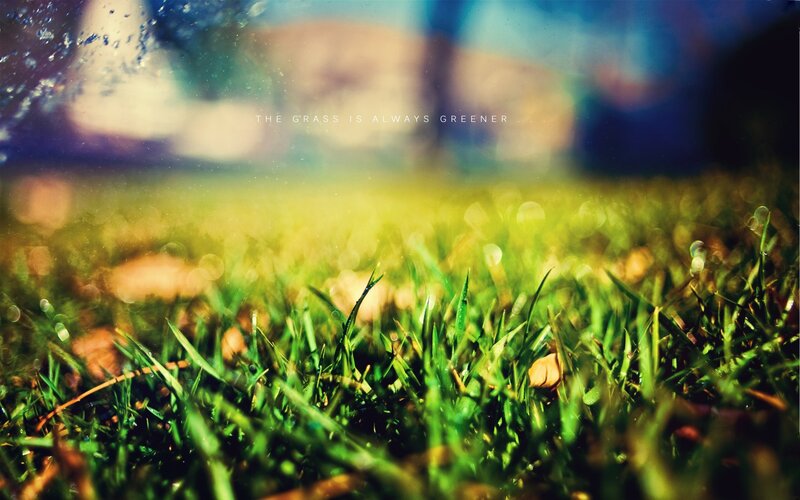Grass is always greener