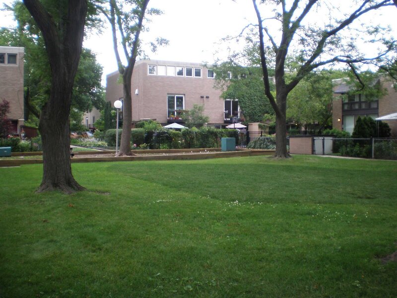 Grass Lawn with Trees — Green