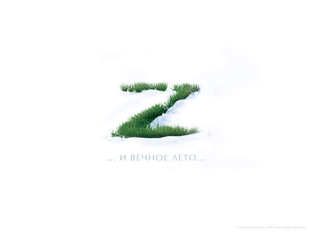 Grass letter Z in snow
