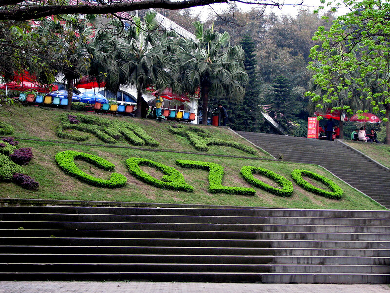 Grass Letters on Hill