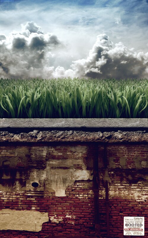Grass on a Brick Wall