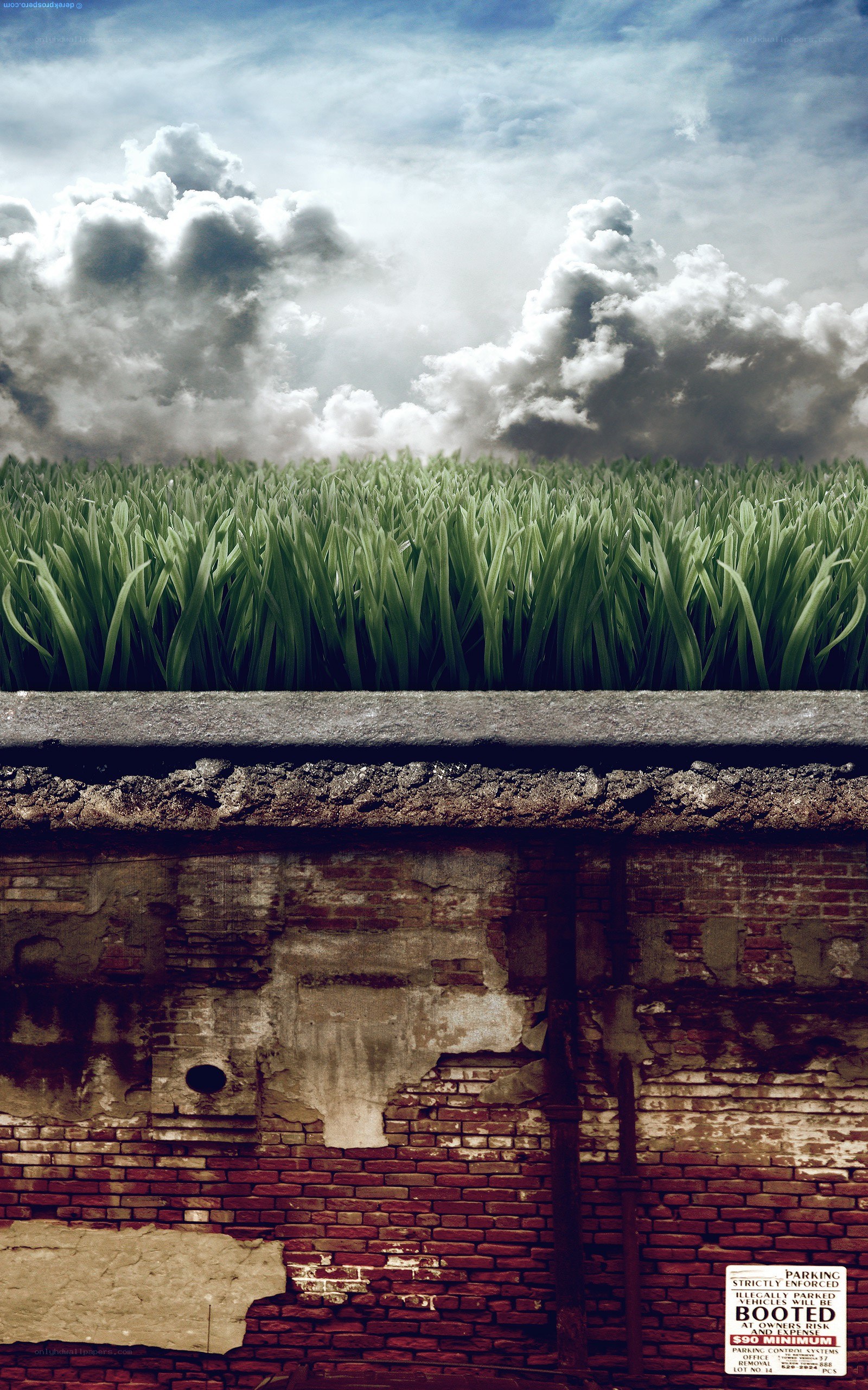Grass on a Brick Wall