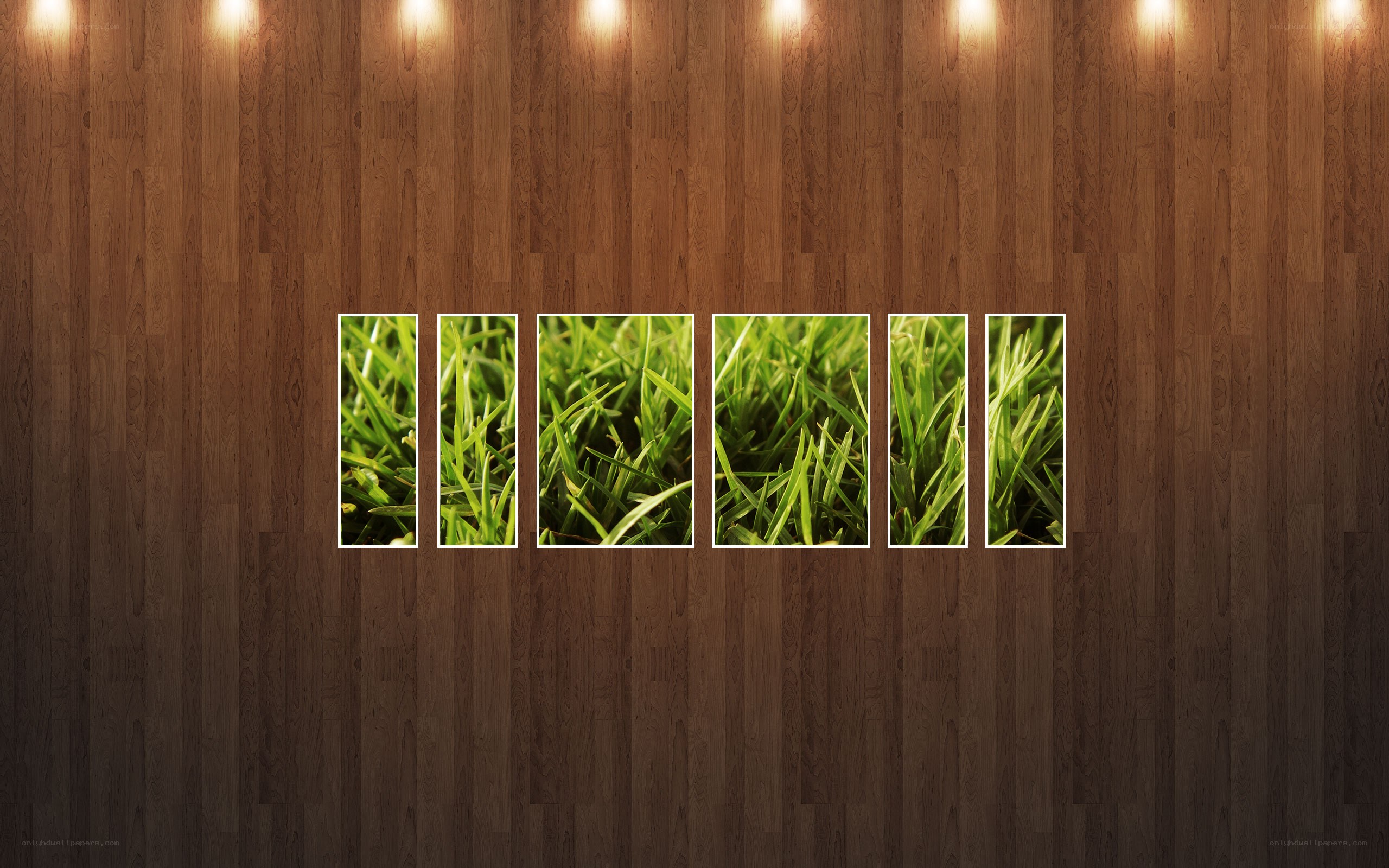 Grass panels on wood wall