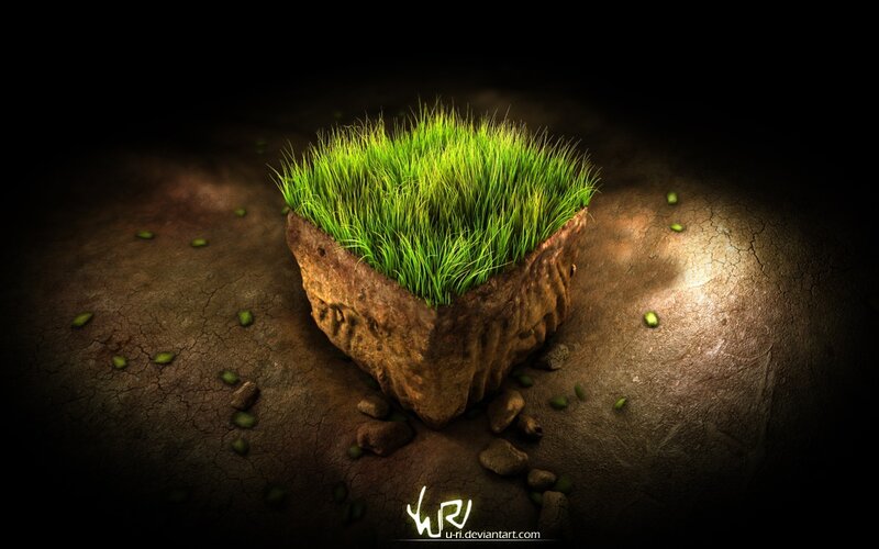Grass Patch on Stone