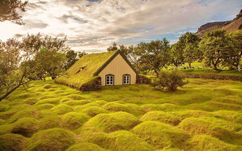 Grass-roofed House — Green