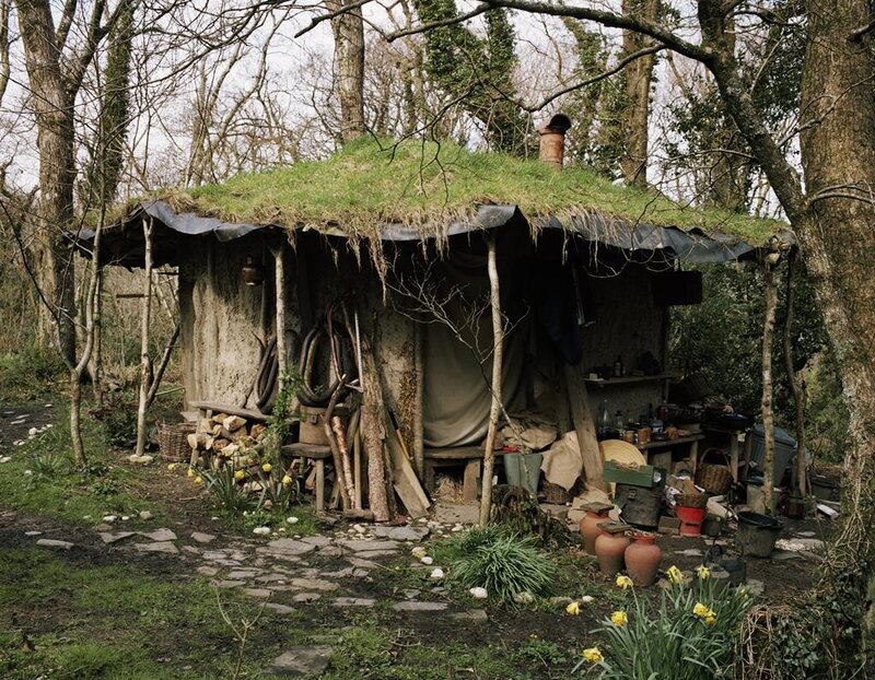 Grass-roofed hut in forest