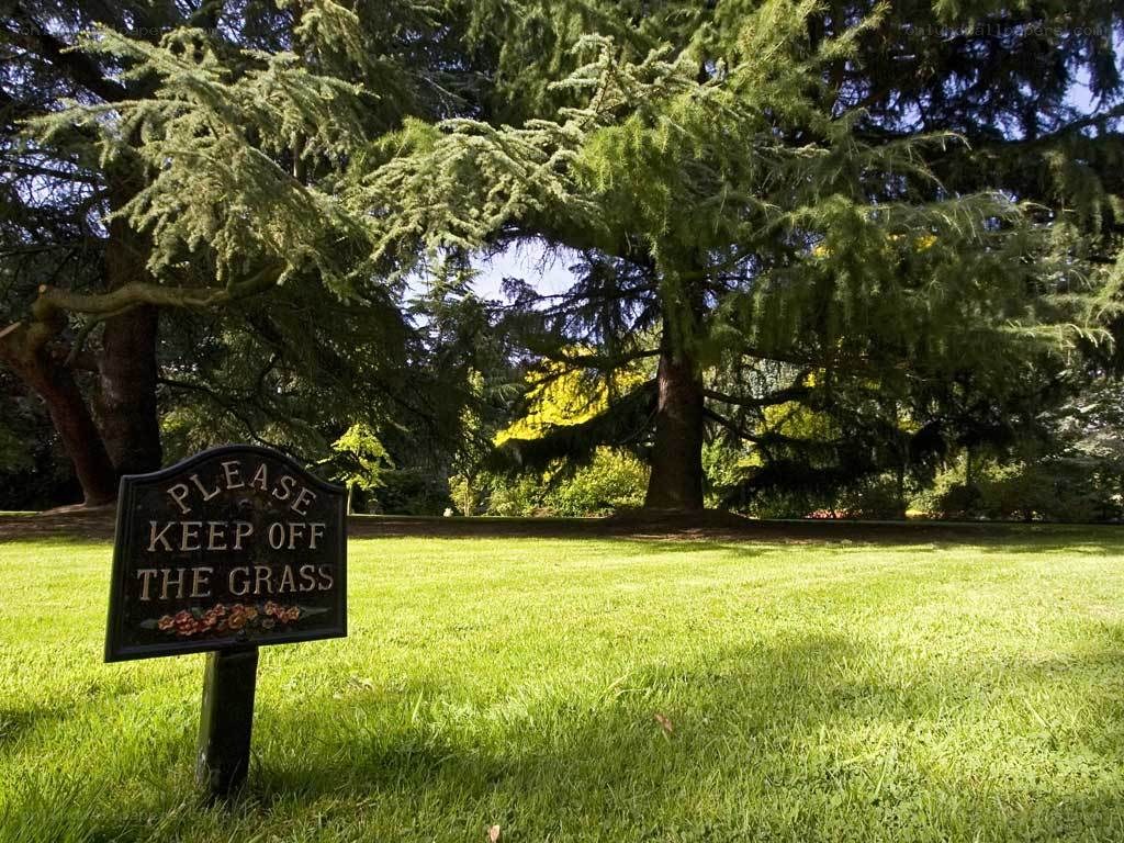 Grass sign in park