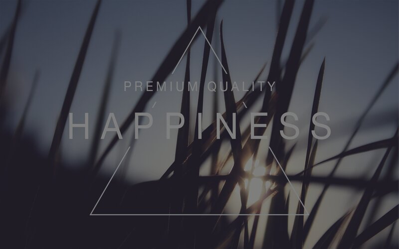 Grass Silhouette at Sunset — Gray