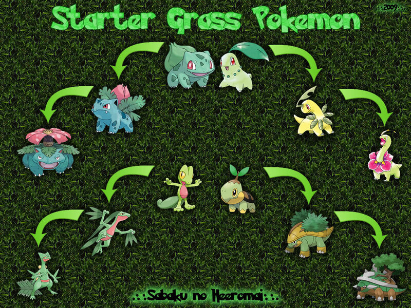 Grass Starter Pokemon Evolution