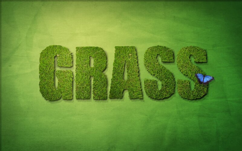 Grass text with butterfly