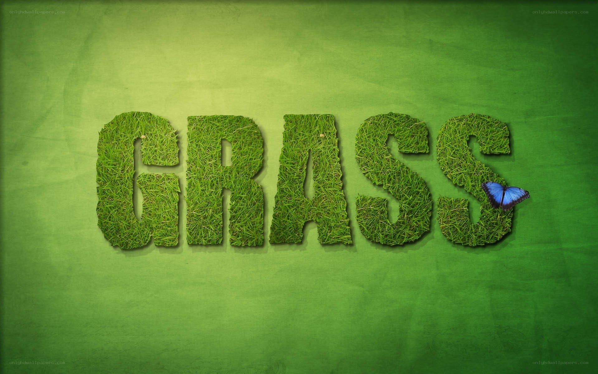 Grass text with butterfly