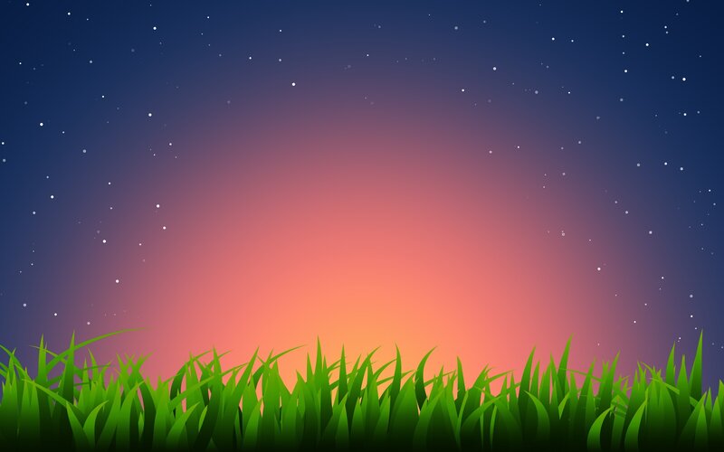 Grass under starry sky