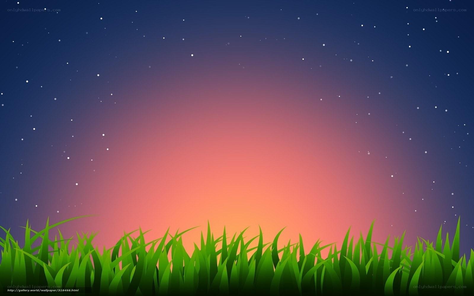 Grass under starry sky