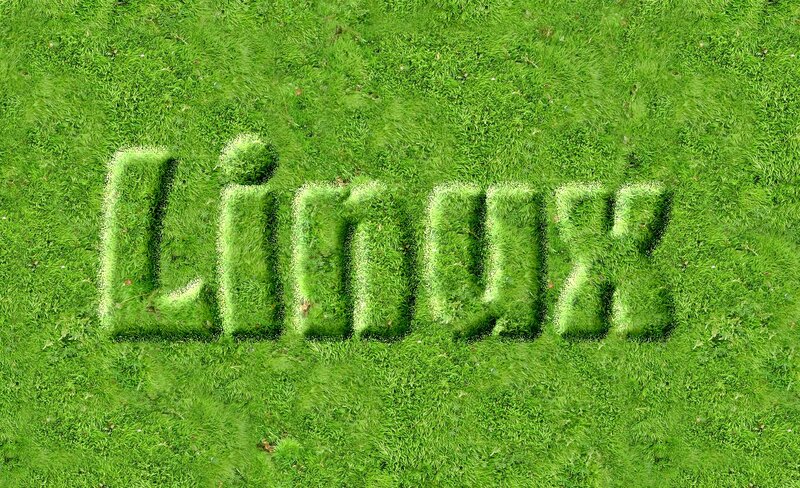 Grass with Carved Text