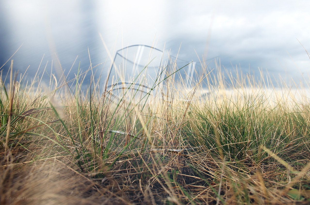 Grass with chair in background
