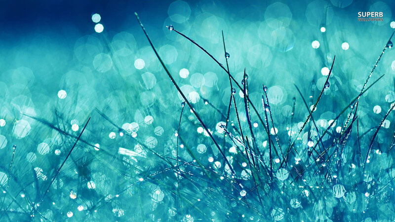 Grass with Dew Drops — Blue, Serene, Morning