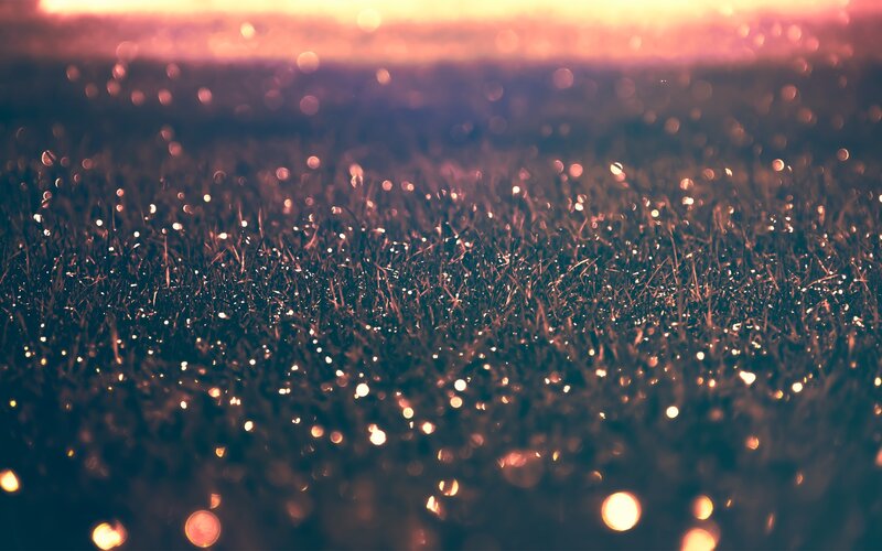Grass with Dew Drops — Orange