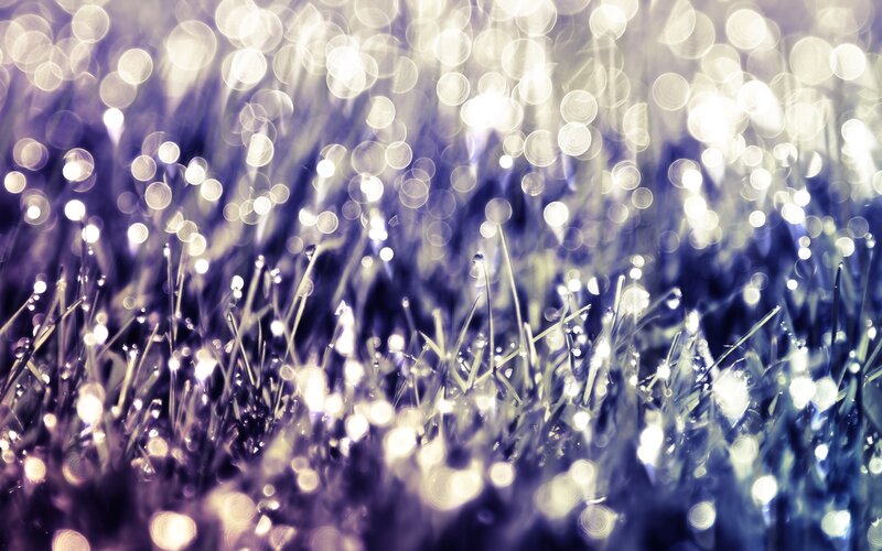 Grass with Dew Drops — Purple