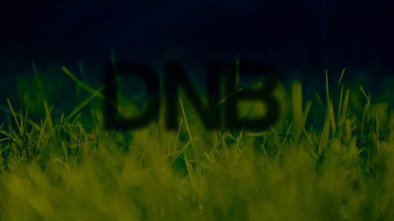 Grass with DNB text
