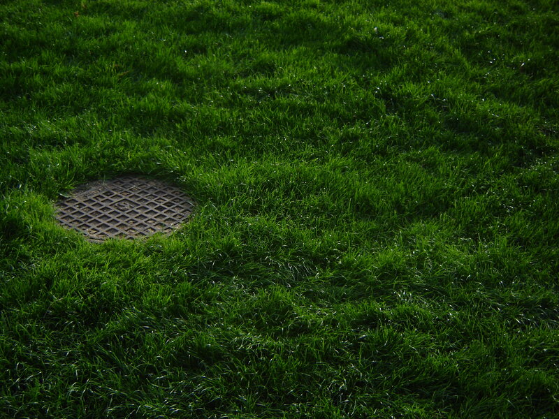 Grass with manhole cover