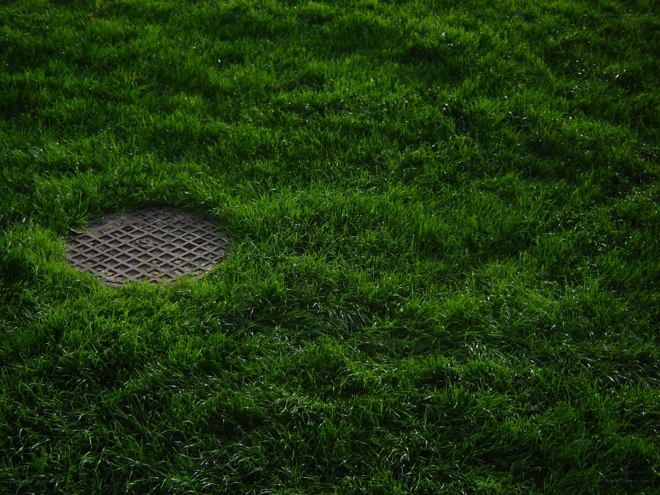 Grass with manhole cover