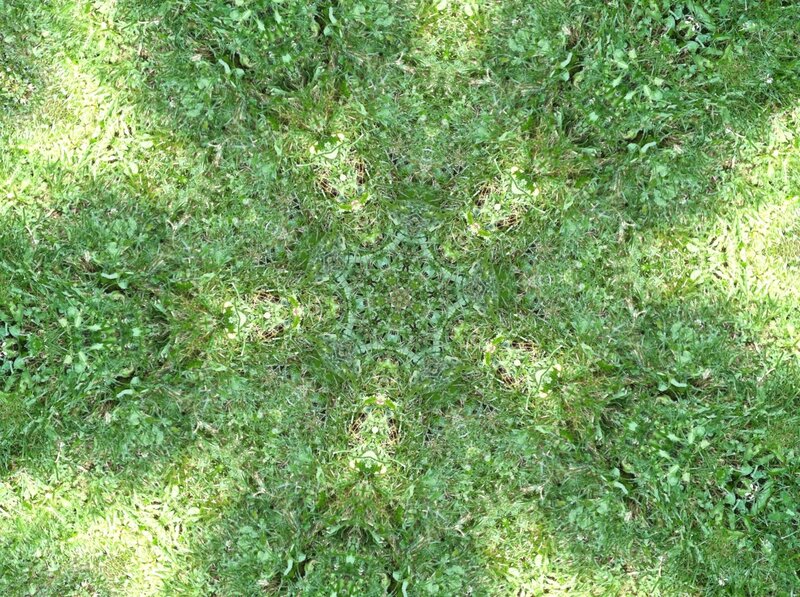 Grass with Pattern