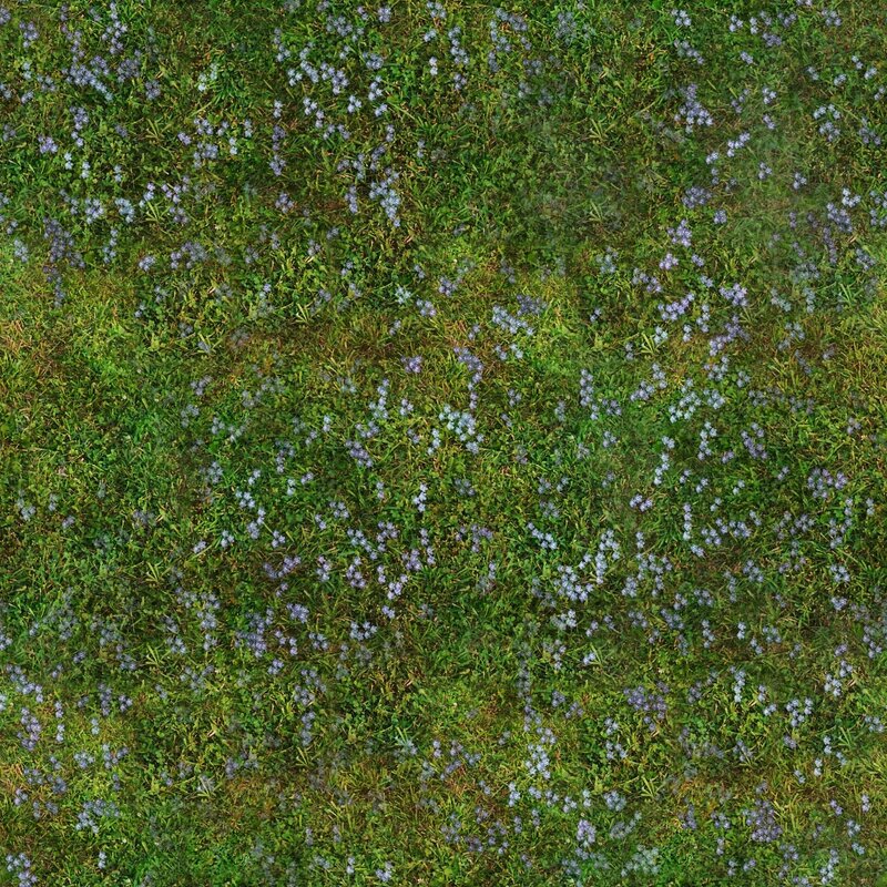 Grass with purple flowers
