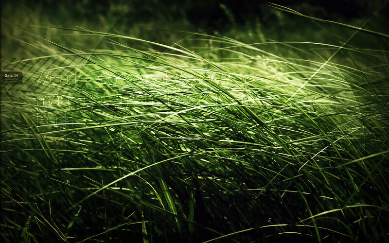 Grass with quote overlay