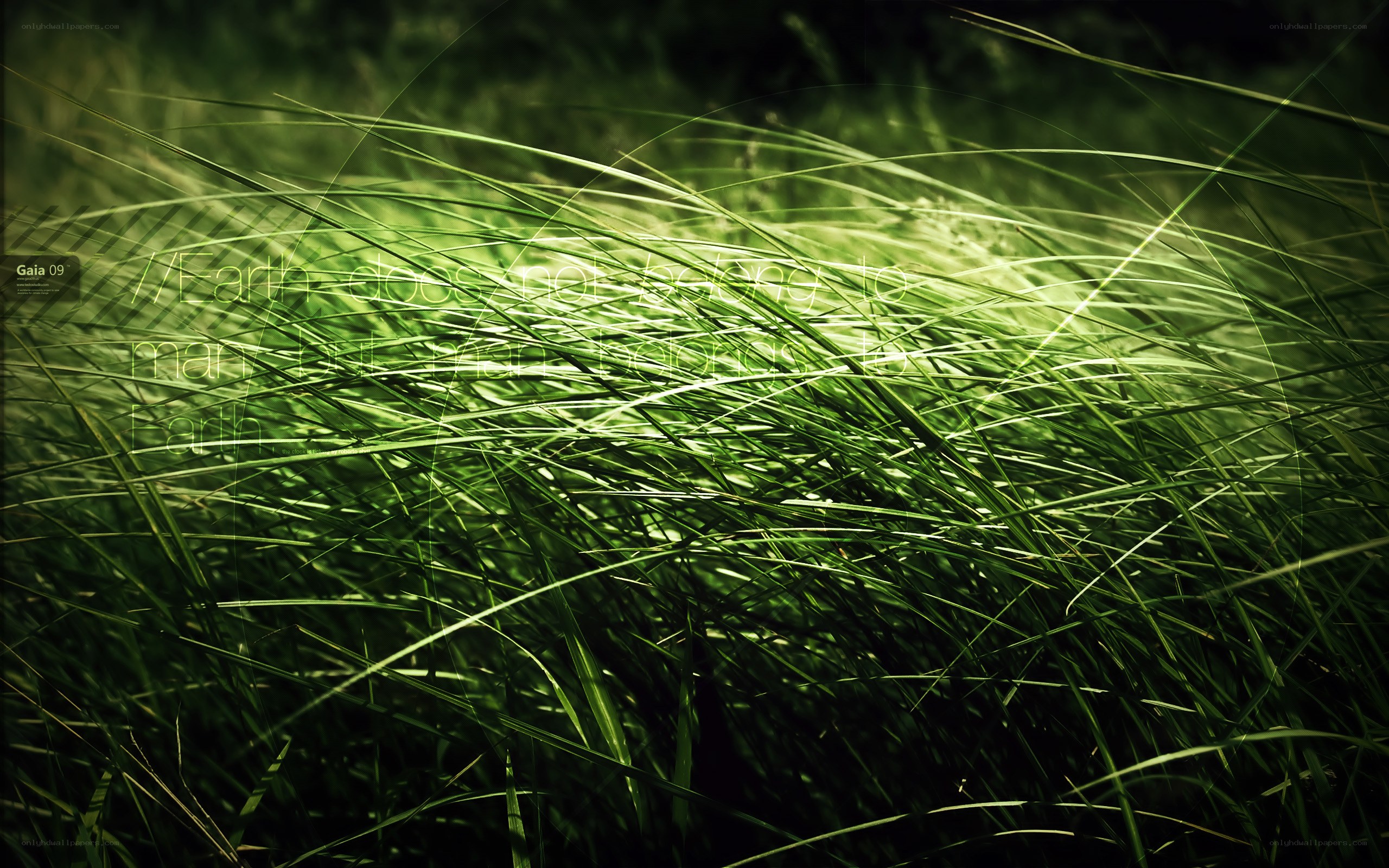 Grass with quote overlay