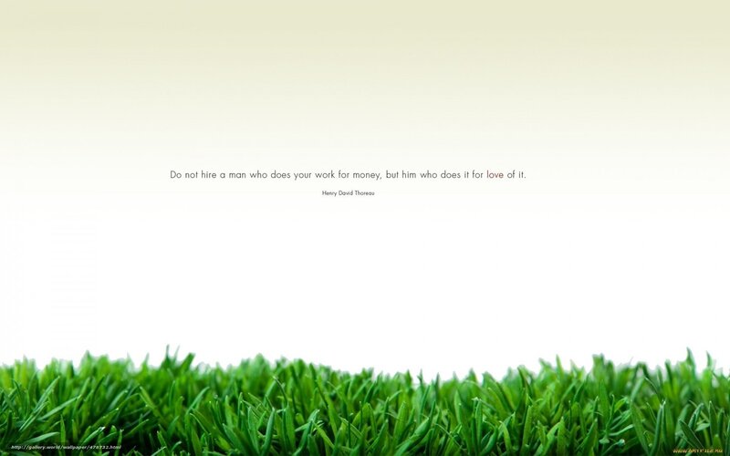 grass with quote wallpaper