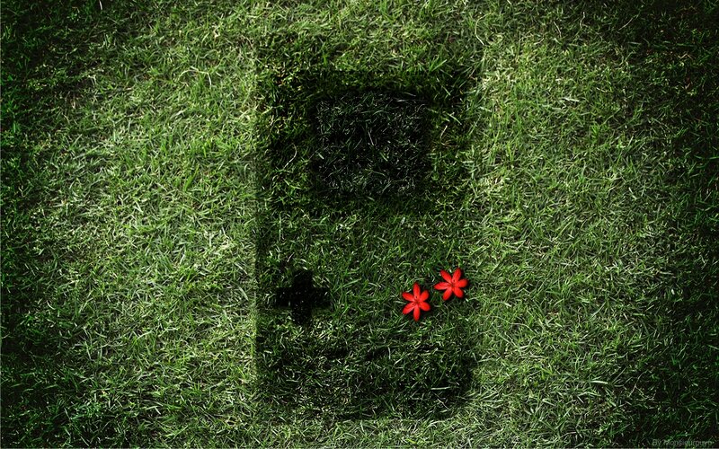 Grass with red flowers